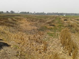 ที่ดินเปล่า 27 ไร่ ถนน 345 บางบัวทอง ไม่ไกลจากแยกไทรน้อย ติดถนนใหญ่ หน้ากว้าง 120 เมตร