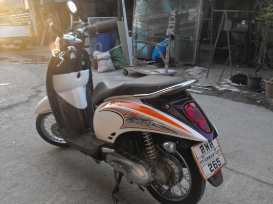 ขาย Scoopies I ปี 53