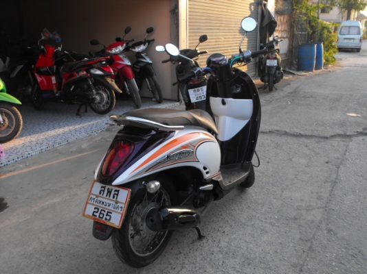 ขาย Scoopies I ปี 53