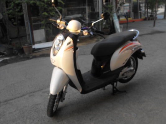 ขาย Scoopies I ปี 53