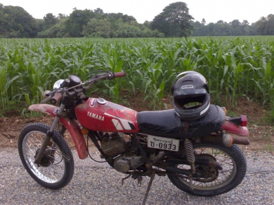 dt100พร้อมใช้งาน