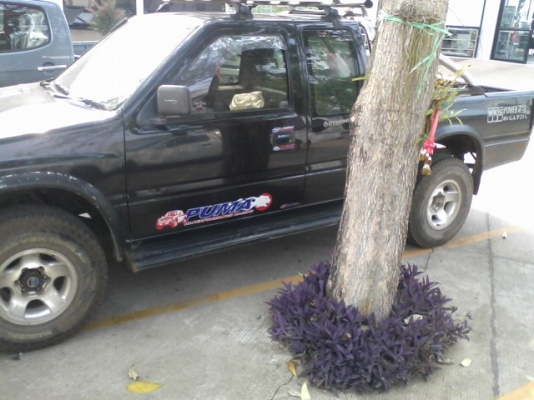 ISUZU, RODEO 2.5 ปี 1996 เกียร์ธรรมดาถูกๆ