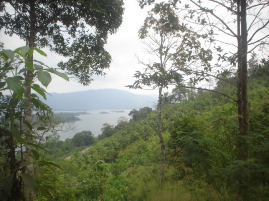 ต้องการถมทีดิน100ตารางวา ลึก2เมตร โดยประมาณ ราคาเหมา