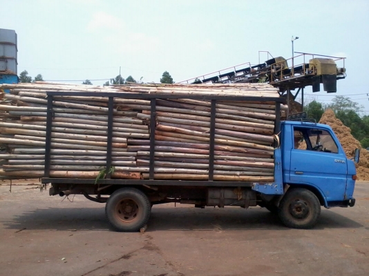 ขายรถหกล้อtoyota