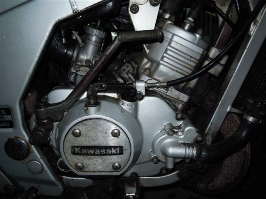 ขาย Serpico เหลือง-ดำ เดิมๆบ้านๆ 7900 บาท