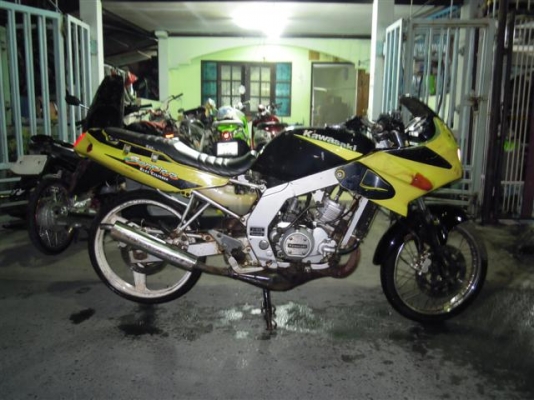 ขาย Serpico เหลือง-ดำ เดิมๆบ้านๆ 7900 บาท