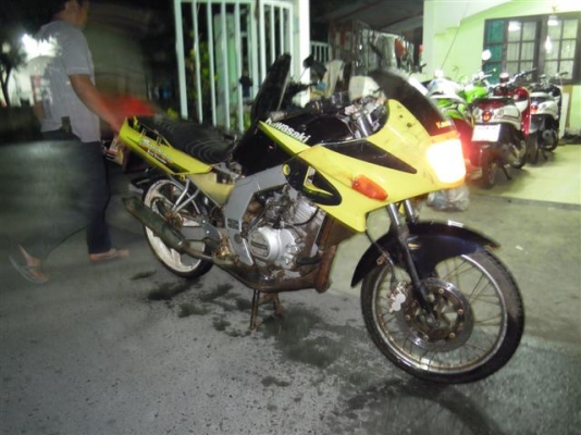 ขาย Serpico เหลือง-ดำ เดิมๆบ้านๆ 7900 บาท