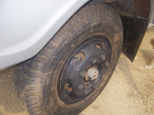 ขายรถหกล้อดั้มหัวยาวอีซุซุ/เครื่อง6BF/175 เฟืองท้ายJCM ครัทซีสวยตลอดเส้นเครื่องดีกระบะดั้มไม่ผุ/หัวมีผุตรงประตูบ้างรถใช้งานอยู่ปากช่อง