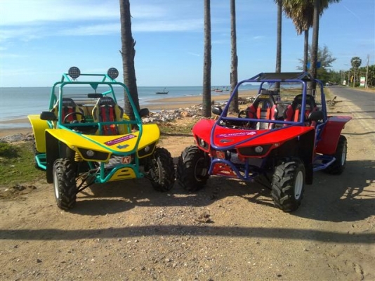 ขายบั๊กกี้