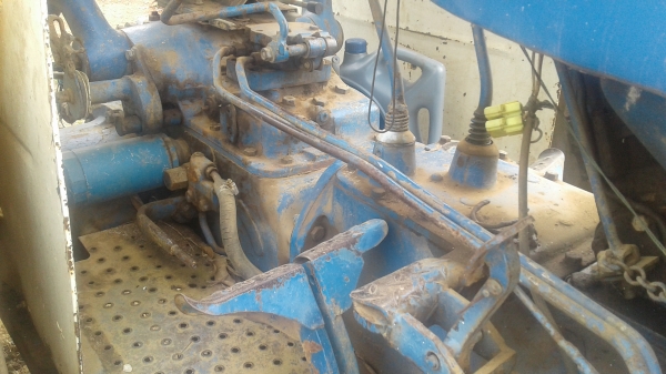 ฟร์อด 6600 เสื้อลาย