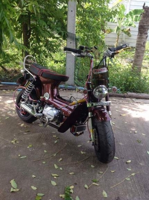 ขายด่วน Chaly สีน้ำตาล