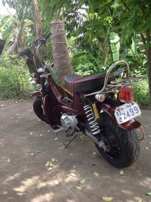 ขายด่วน Chaly สีน้ำตาล