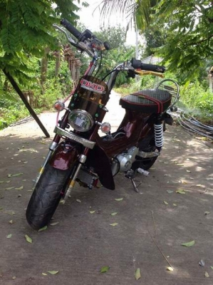 ขายด่วน Chaly สีน้ำตาล