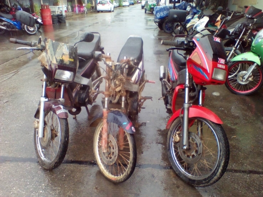 yamaha ZR น้ำตาลมีเล่ม5300.และขาว 3200แดงขายแล้ว