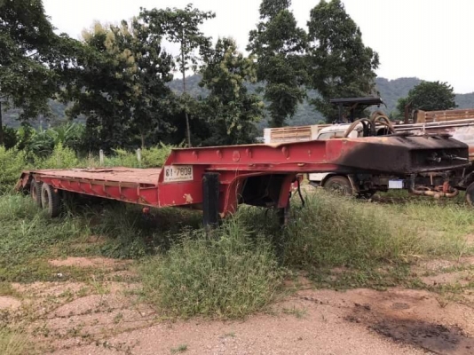 หางโรเบต