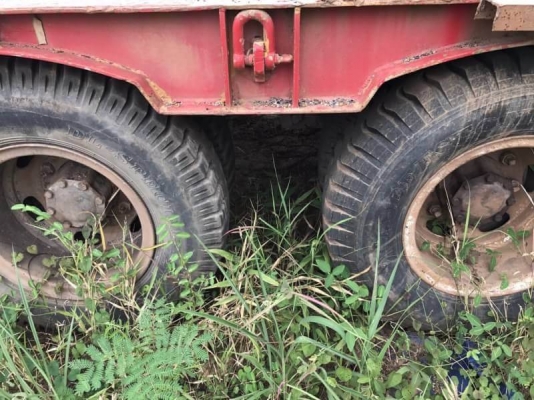 หางโรเบต