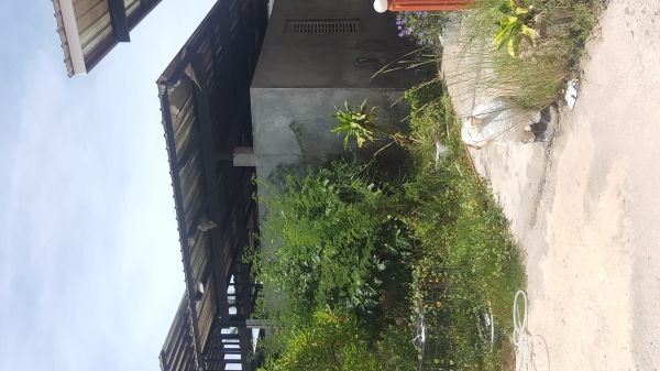 ขายโครงสร้าง 1 หลัง 12x30 เมตร พร้อมห้องกระจก 1 ห้อง ห้องน้ำกว้าง 8×16 เมตรพร้อมโต๊ะเก้าอี้บู๊ทขายของ5ซุ้ม 150,000บาท ขายโครงสร้าง 1 หลัง 12x30 เมตร พร้อมห้องกระจก 1 ห้อง ห้องน้ำกว้าง 8×16 เมตรพร้อมโต๊ะเก้าอี้บู๊ทขายของ5ซุ้ม 150,000บาท