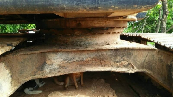 ขาย 455,000 บาท KOBELCO SK200 MARK 3 เครื่องเดิม ปั้มดี เอวมีขยับ ไฟฟ้าตัด เอกสารชื้อขาย รถอยู่ จ.ยโสธร โทร&ไอดีไลน์ 0610710295 ขาย 455,000 บาท KOBELCO SK200 MARK 3 เครื่องเดิม ปั้มดี เอวมีขยับ ไฟฟ้าตัด เอกสารชื้อขาย รถอยู่ จ.ยโสธร โทร&ไอดีไลน์ 0610710295