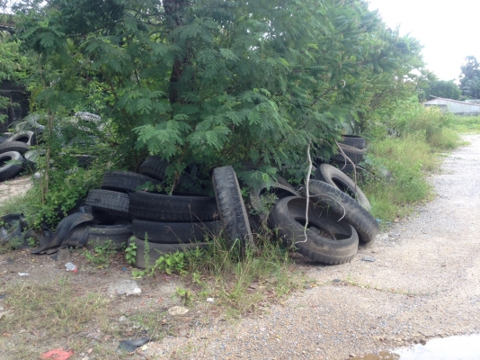 ลูกโม่6คิว โม่ไฮโดรลิค เต้าปูน และลูกโม่เปล่า ยางรถ