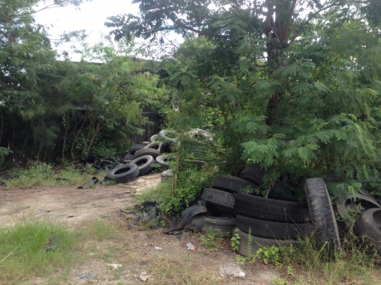 ลูกโม่6คิว โม่ไฮโดรลิค เต้าปูน และลูกโม่เปล่า ยางรถ