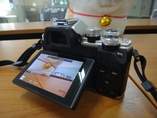 กล้อง OLYMPUS OM-D E-M10 II