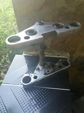 ขายแผงคอ อินทรูเดอร์ 1400