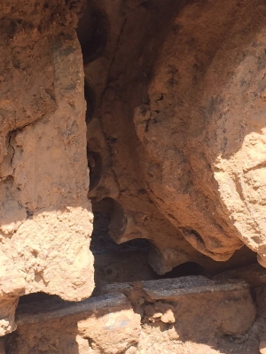 KOBELCO Yn 12-8 super สภาพนางฟ้า KOBELCO Yn 12-8 super สภาพนางฟ้า