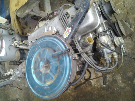 ขายด่วน มีีใบคุุมครัับ