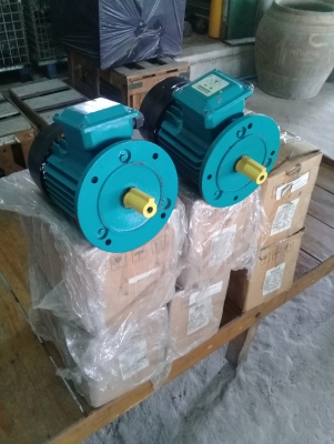 มอเตอร์สภาพใหม่คุณภาพดี เหลือ 7 ลูกคับ มอเตอร์สภาพใหม่คุณภาพดี เหลือ 7 ลูกคับ