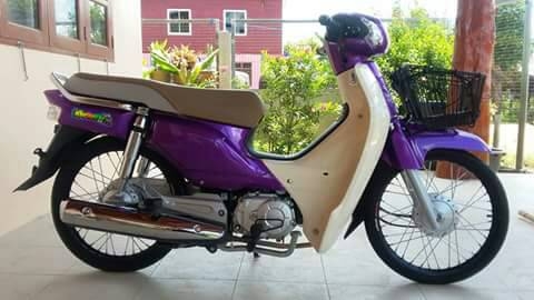 ดรีม ปี 59 ดรีม ปี 59