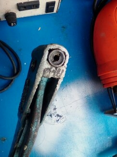 รีเวทตรากุ้ง