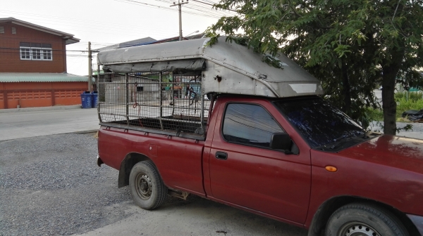 ขายหลังคา