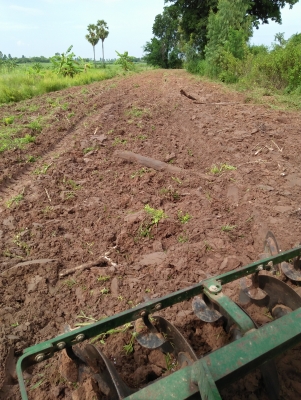 ลดราคากันสุดๆไปเลยครับ26500บาทขายครับDP4205ใช้กับรถ50แรงขึ้นน่าจะโอเคนะครับราคาต่องรองได้ครับ