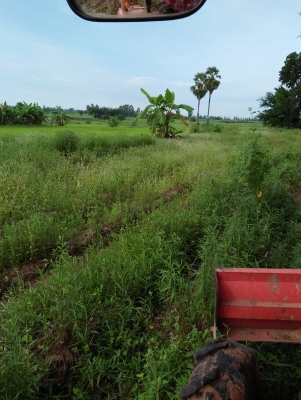 ลดราคากันสุดๆไปเลยครับ26500บาทขายครับDP4205ใช้กับรถ50แรงขึ้นน่าจะโอเคนะครับราคาต่องรองได้ครับ