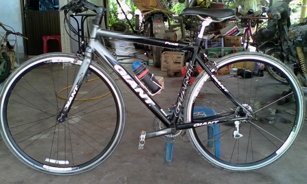 ขายจักรยาน ขายจักรยาน