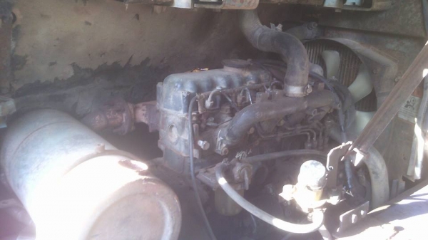 ขายแม็คโคเล็ก