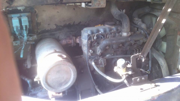 ขายแม็คโคเล็ก