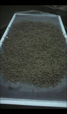 เครื่องอัดอาหารเม็ด เครื่องอัดอาหารเม็ด