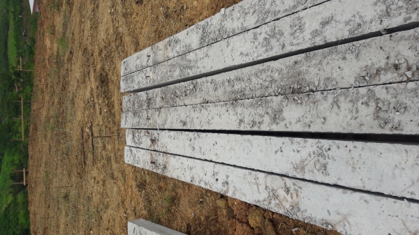 โคราชปั้นจั่น 093-5596627 รับตอกเสาเข็ม สระบุรี ลพบุรี ชัยภูมิ ปากช่อง เขาใหญ่ โคราช ปราจีนบุรี กบินบุรี นครนายก