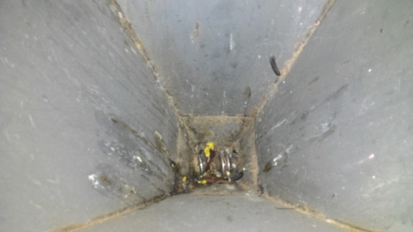 หางปลูกอ้อยร่องเดี่ยวKKสำหรับรถ47-51แรงสภาพพร้อมใช้ครับ