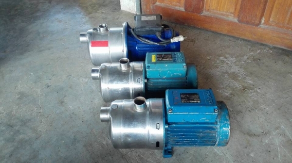 ** เหลือ 2 ตัว ** ปั้มน้ำหัวสแตนเลสอิตาลี่ Ebara & Calpeda ขนาด 1 HP 220V สภาพสวยพร้อมใช้ ** เหลือ 2 ตัว ** ปั้มน้ำหัวสแตนเลสอิตาลี่ Ebara & Calpeda ขนาด 1 HP 220V สภาพสวยพร้อมใช้