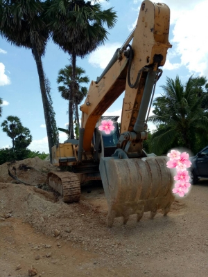 ขายรถแบคโฮ LIEBHERR 934 Litronic ราคา 780000