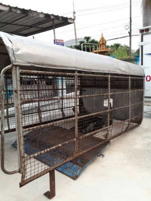 ต้องการขาย ลิฟท้าย 12V ติด 4 ล้อ NKR