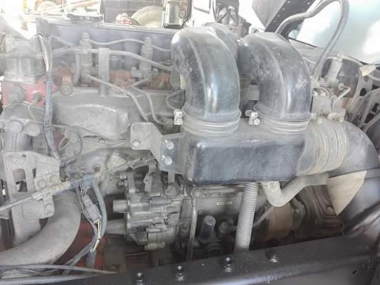 ร๊อคกี้ 195 นางฟ้าแท้