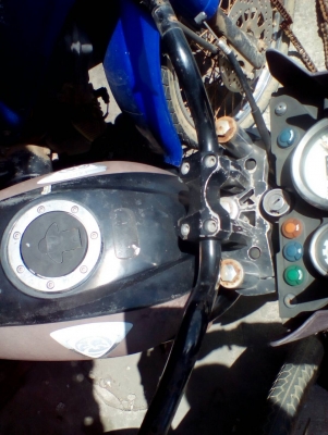 แฮนด์และตุ๊กตาไทเกอร์