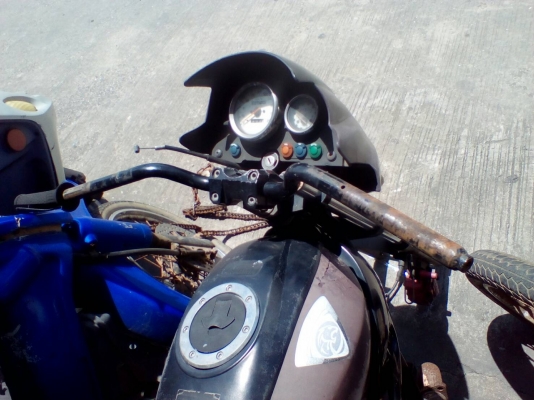 แฮนด์และตุ๊กตาไทเกอร์