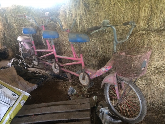 จักรยานสามัคคี 4 ที่นั่ง เบาะหลัง 1 เบาะครับ