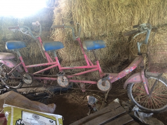 จักรยานสามัคคี 4 ที่นั่ง เบาะหลัง 1 เบาะครับ จักรยานสามัคคี 4 ที่นั่ง เบาะหลัง 1 เบาะครับ