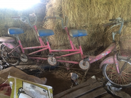 จักรยานสามัคคี 4 ที่นั่ง เบาะหลัง 1 เบาะครับ จักรยานสามัคคี 4 ที่นั่ง เบาะหลัง 1 เบาะครับ