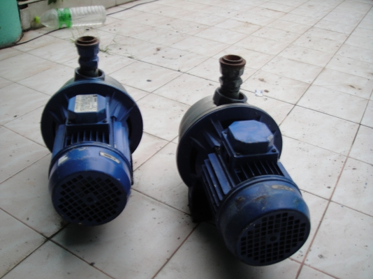 Pump ปั้มสแตนเลส EBARA 1 HP มือสอง